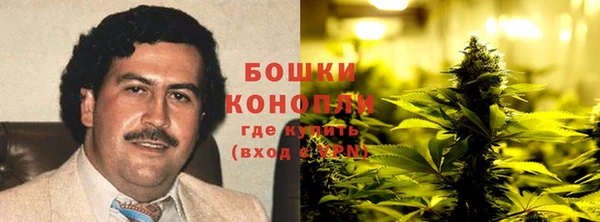 PSILOCYBIN Алексин