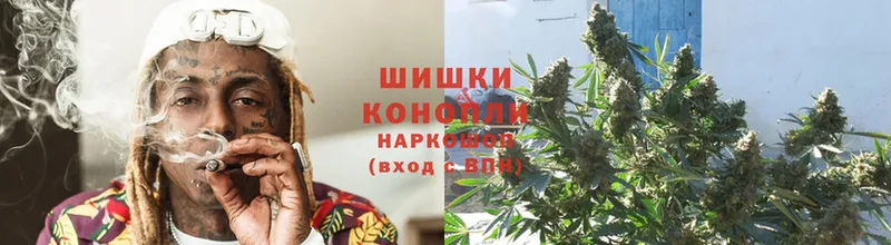 Бошки марихуана White Widow  продажа наркотиков  Пушкино 